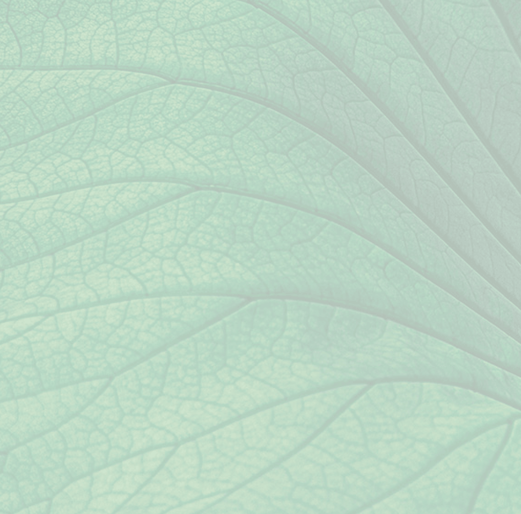 hoja