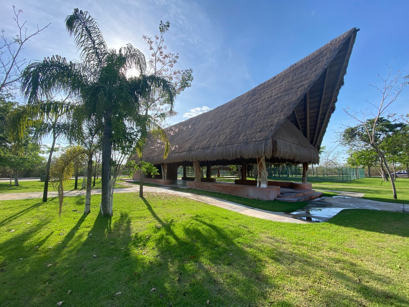 WhatsApp Image 2025-04-02 at 4.20.18 PM